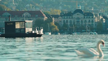 A boat with a sauna facility, a swan, and a cityscape with buildings in the background.