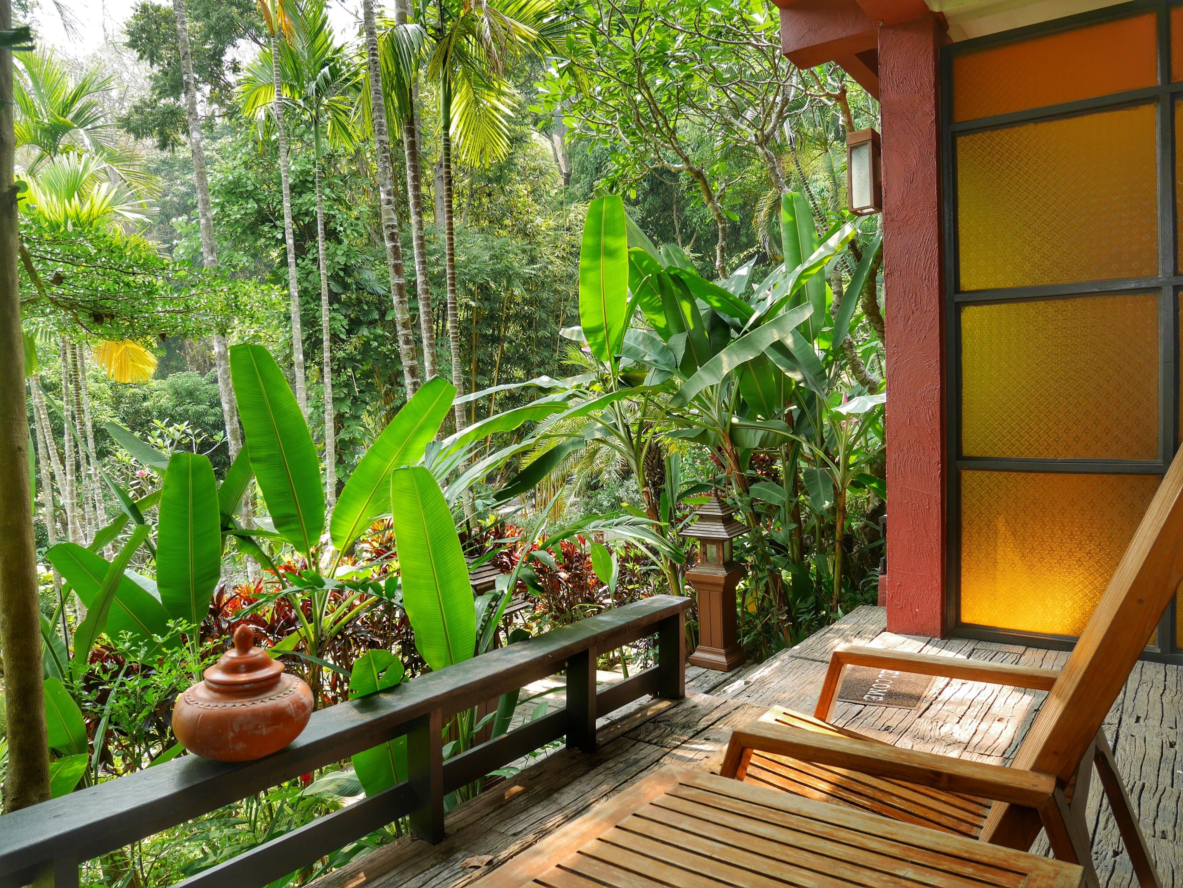 A wooden deck with a bench and a lantern, surrounded by lush tropical vegetation.