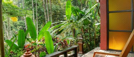 Une terrasse en bois avec un banc et une lanterne, entourée d’une végétation tropicale luxuriante.