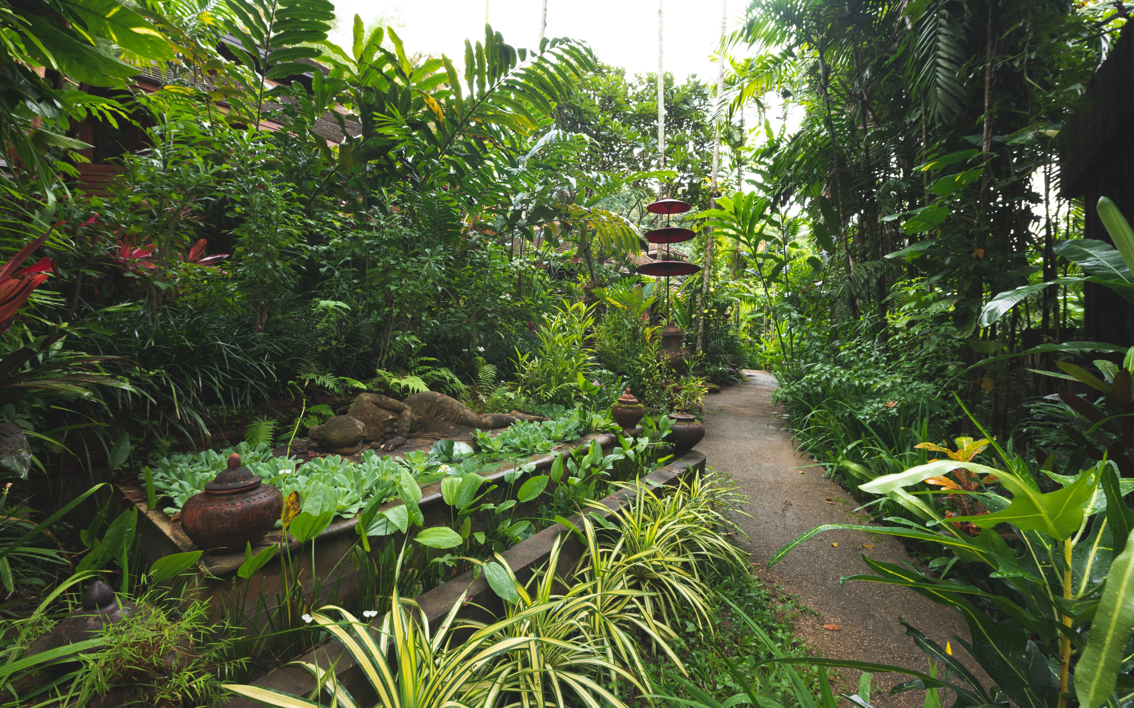 A lush garden with a variety of plants and a pathway.