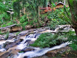 Jardines del alojamiento