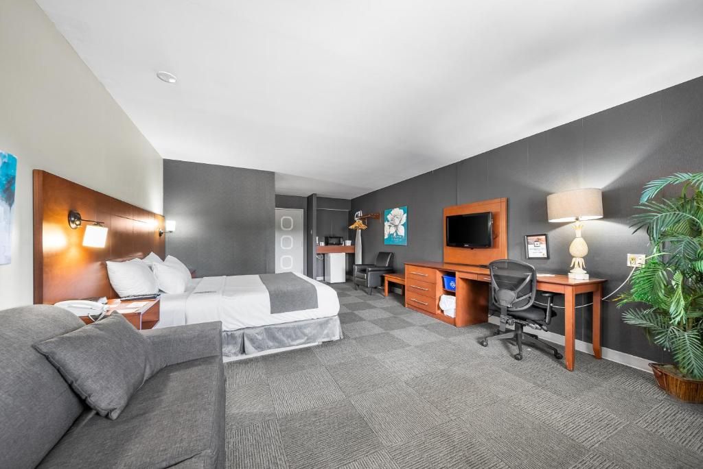 A hotel room with a bed, a desk, a chair, a television, a lamp, and a plant.