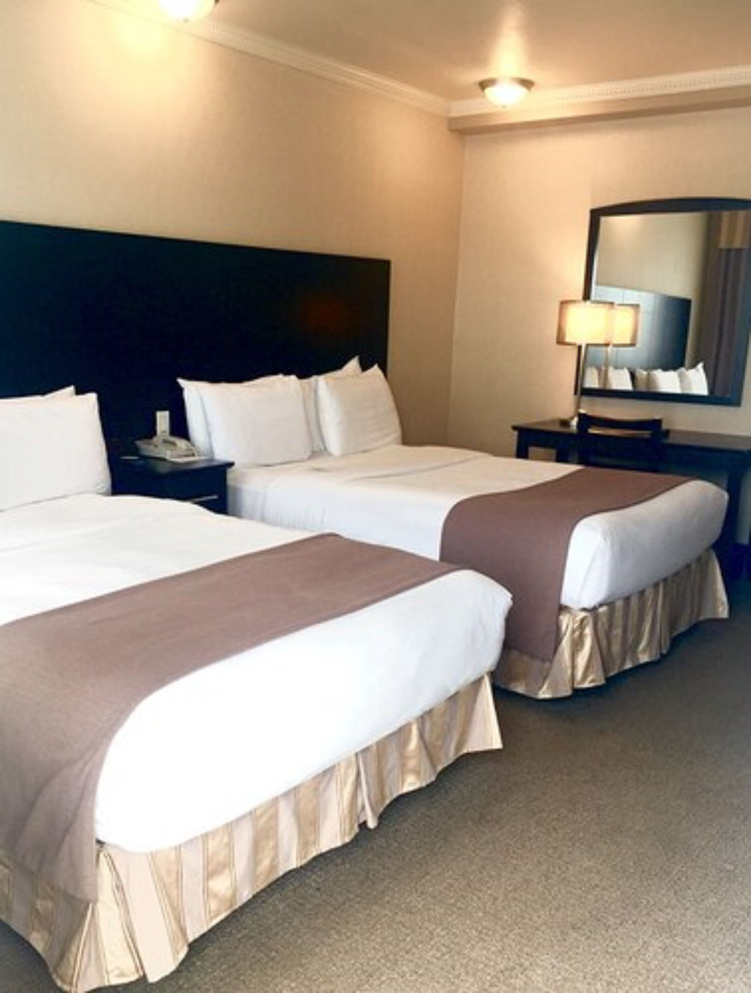 Foto - Hotel-Motel Coconut