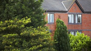 Une maison en briques avec un toit en tuiles, entourée d’une végétation luxuriante.
