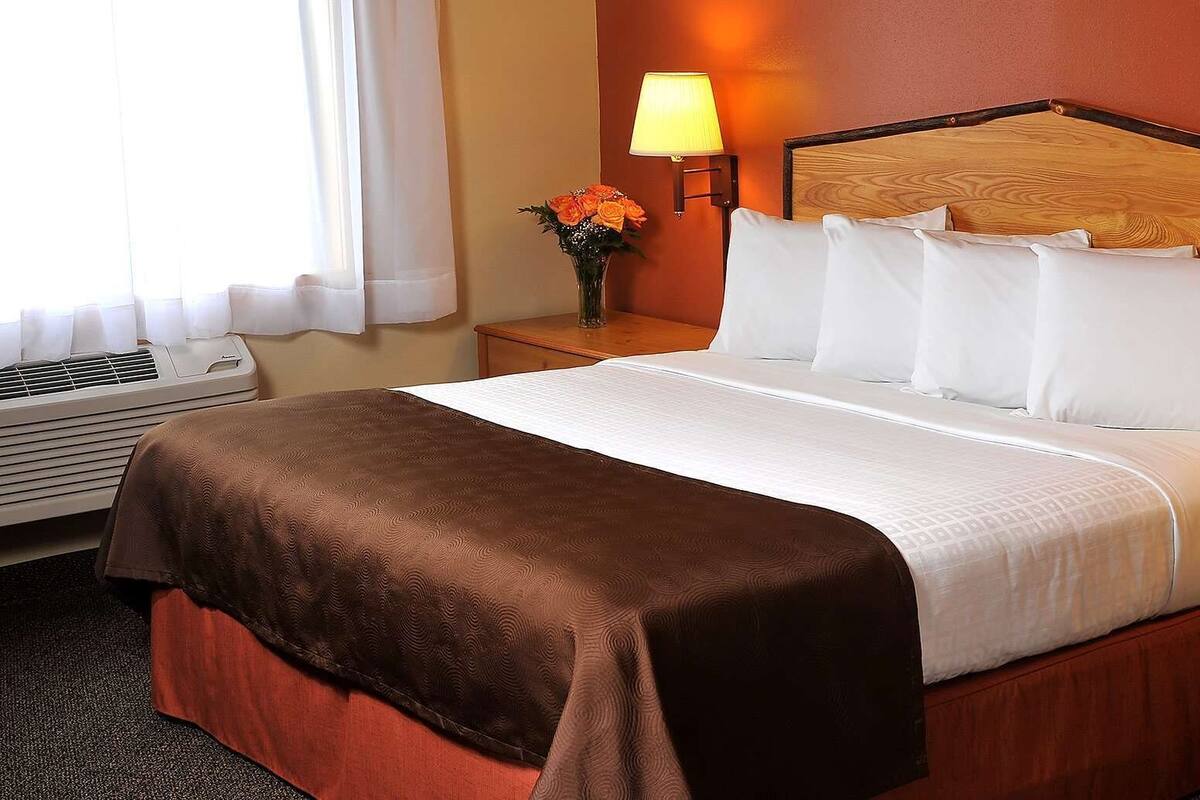 A hotel room with a bed, a nightstand, a lamp, and a window with curtains.