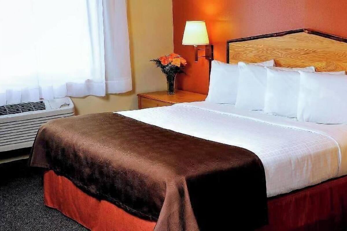A hotel room with a bed, a nightstand, a lamp, and a window with curtains.