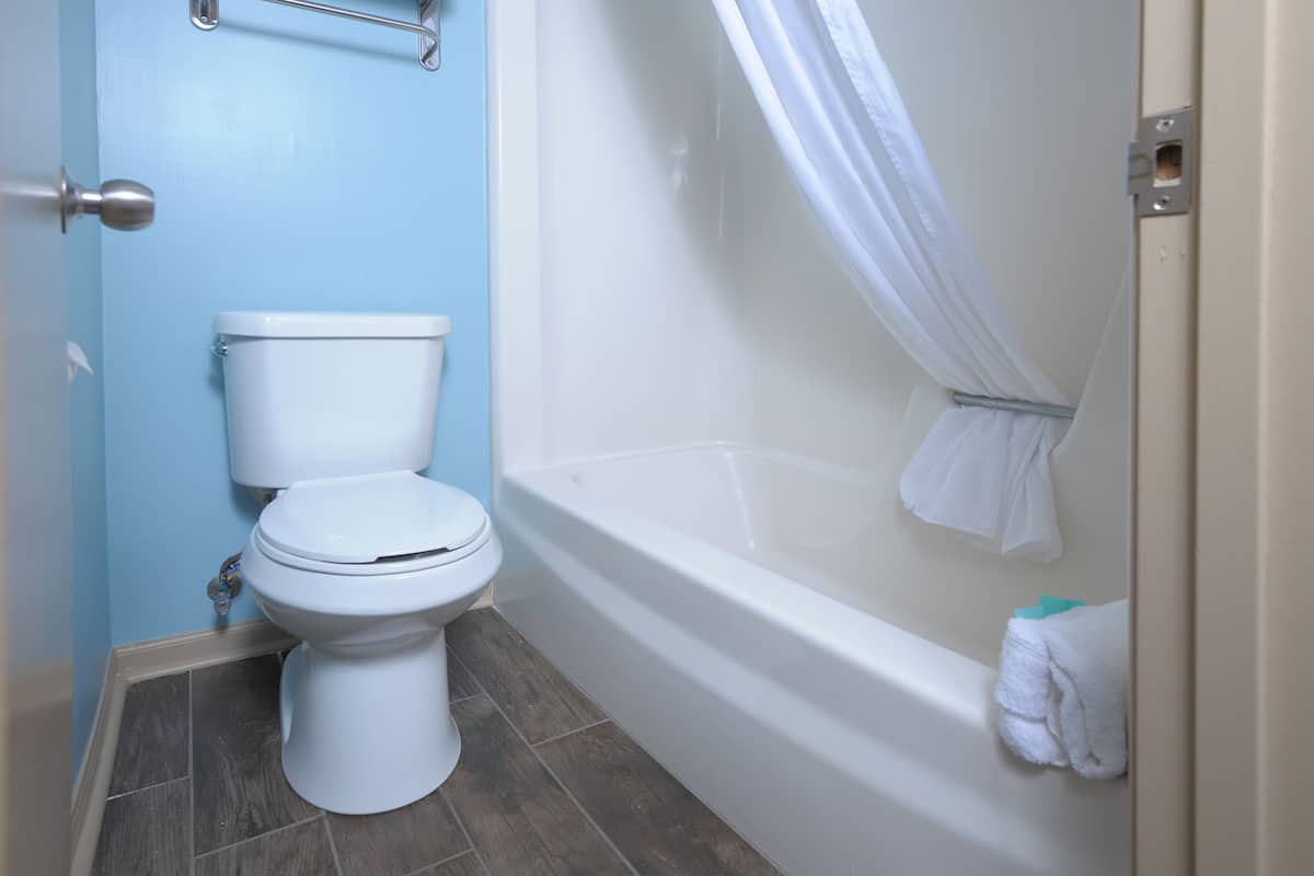 combined shower/bathtub, free toiletries, hair dryer, towels