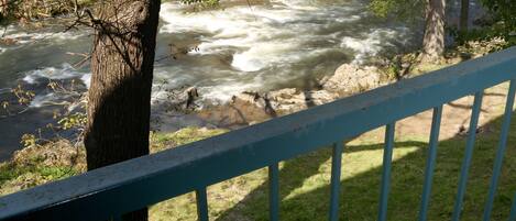 A river with a railing in the foreground.