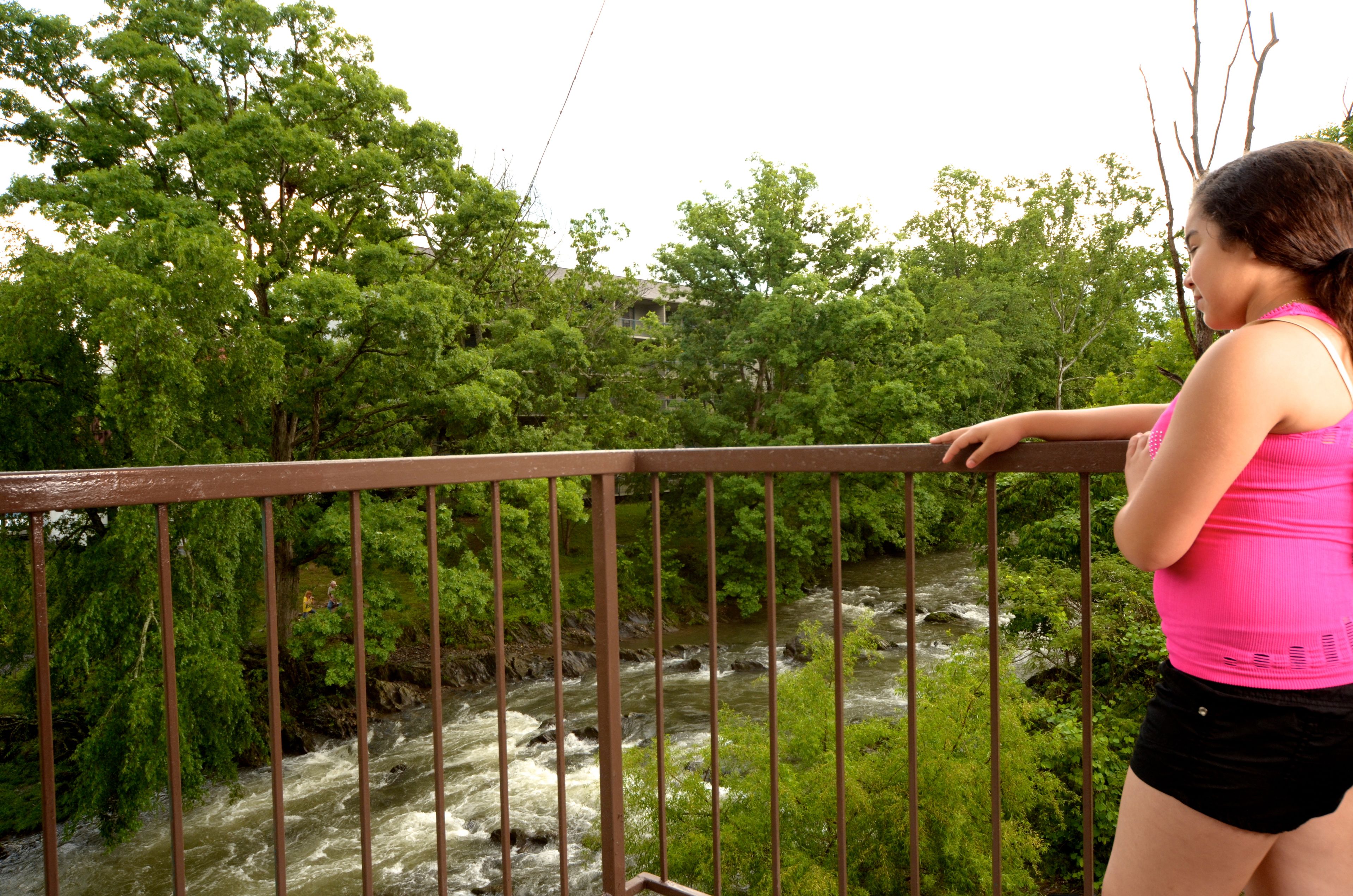 A person standing on a bridge overlooking a river with lush greenery and trees.