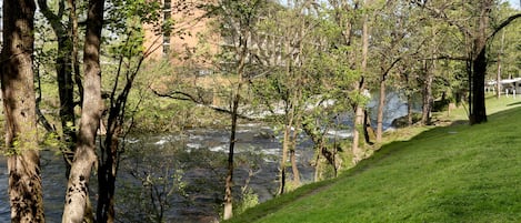 Un río con árboles y una orilla cubierta de césped.