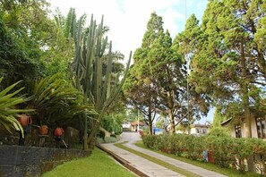 المنطقة المحيطة بالمنشأة