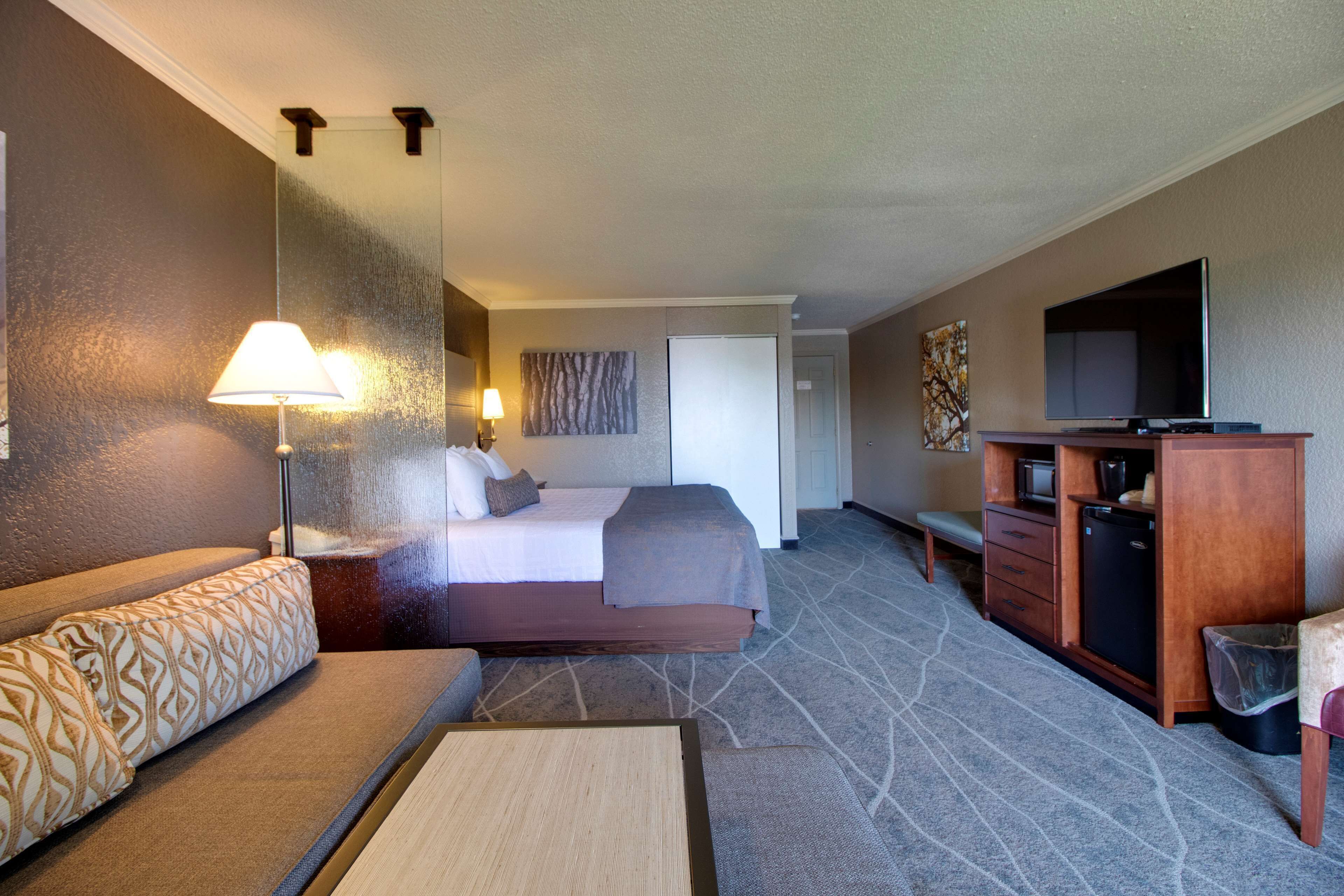 A hotel room with a bed, a sofa, a desk, a television, and a minibar.