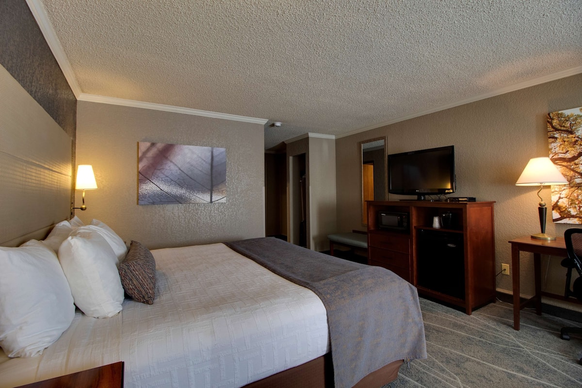 Ein Hotelzimmer mit einem Bett, einem Schreibtisch, einem Fernseher und einer Lampe.