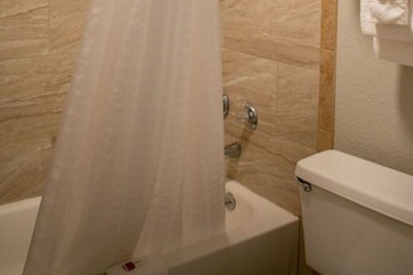 Combined shower/tub, free toiletries, hair dryer, towels