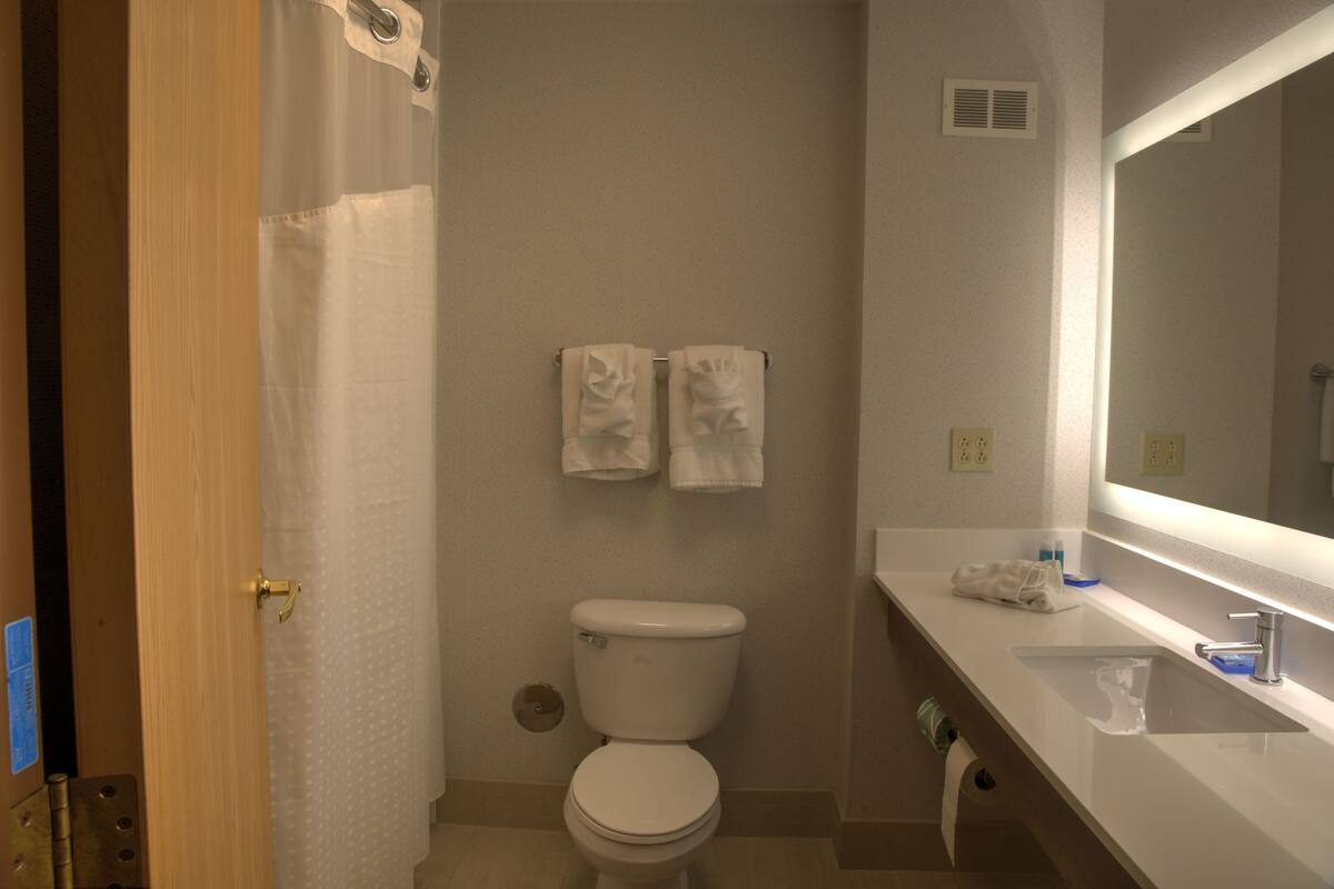 combined shower/bathtub, free toiletries, hair dryer, towels