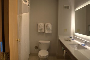 Een badkamer met toilet, wastafel en spiegel. Twee handdoeken hangen aan de muur.