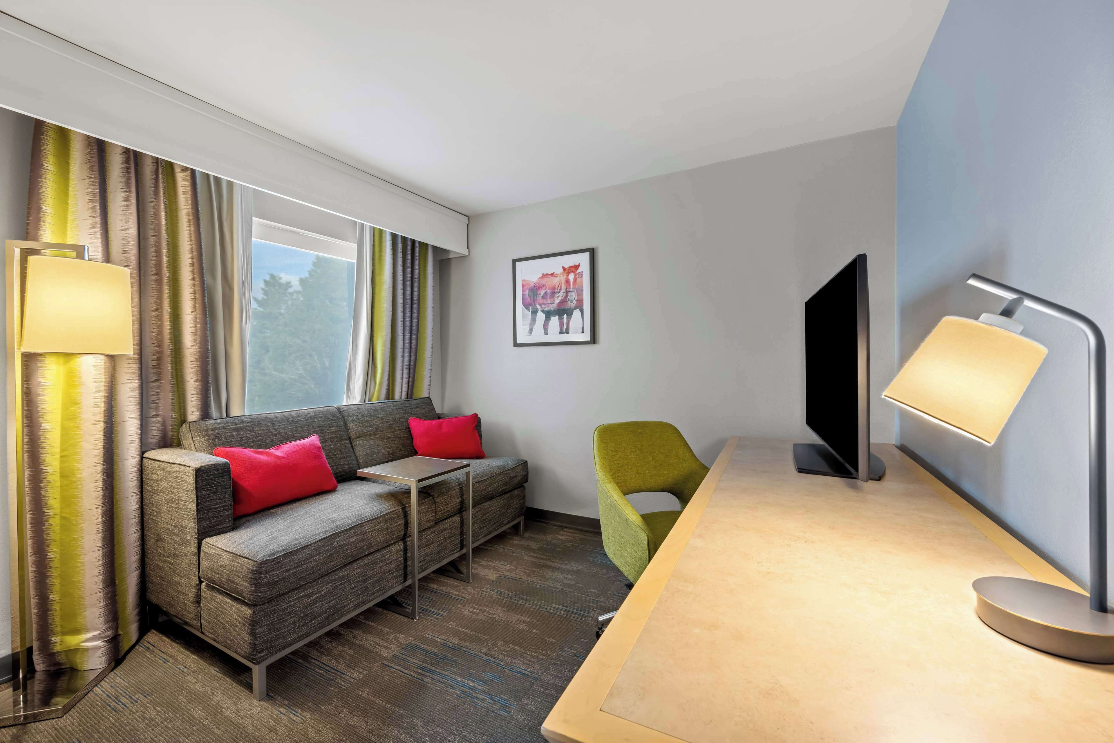 one king bed, non-smoking | desk, laptop workspace, iron/ironing board, free wired internet