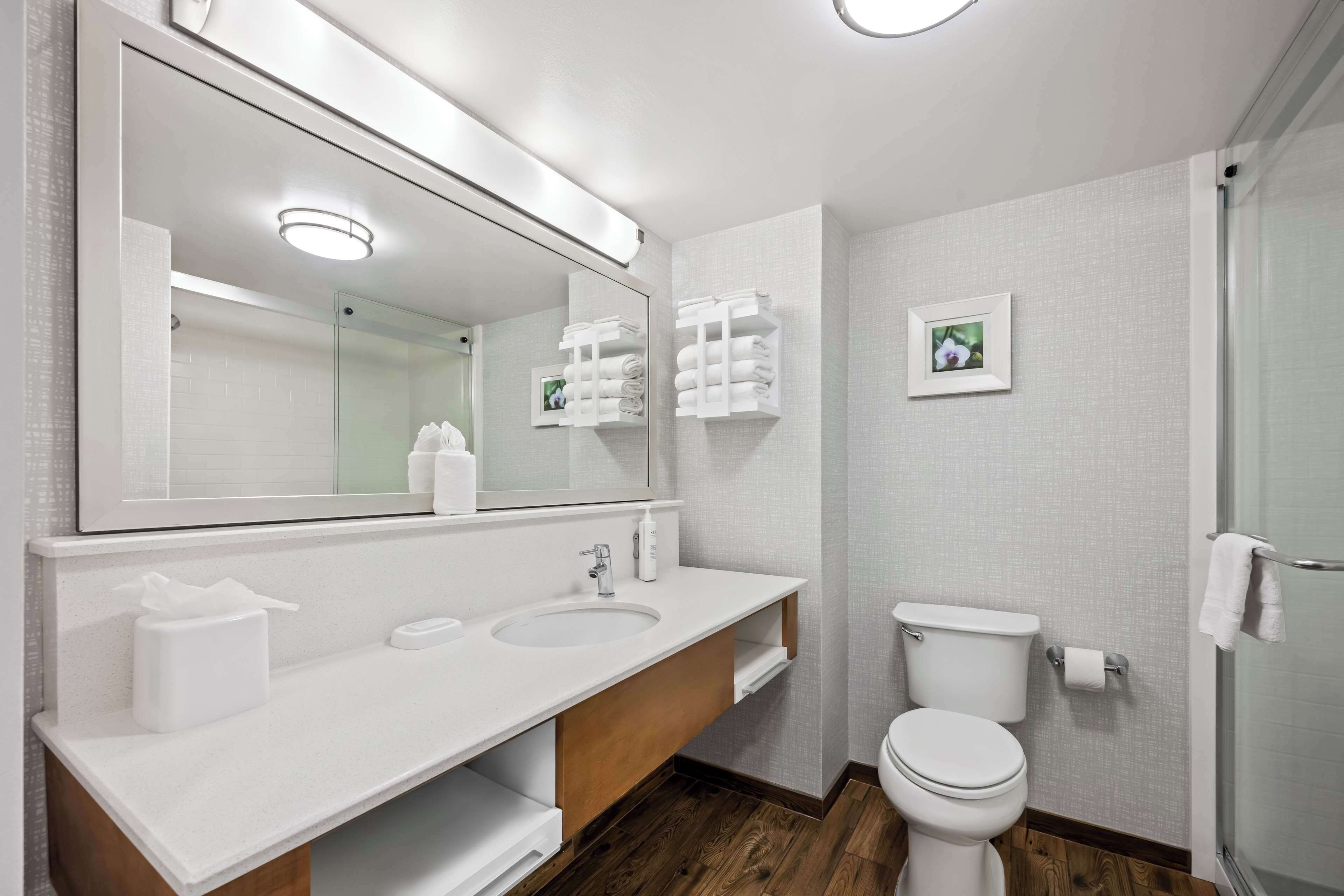 one king bed non smoking | bathroom | bathtub, free toiletries, hair dryer, towels