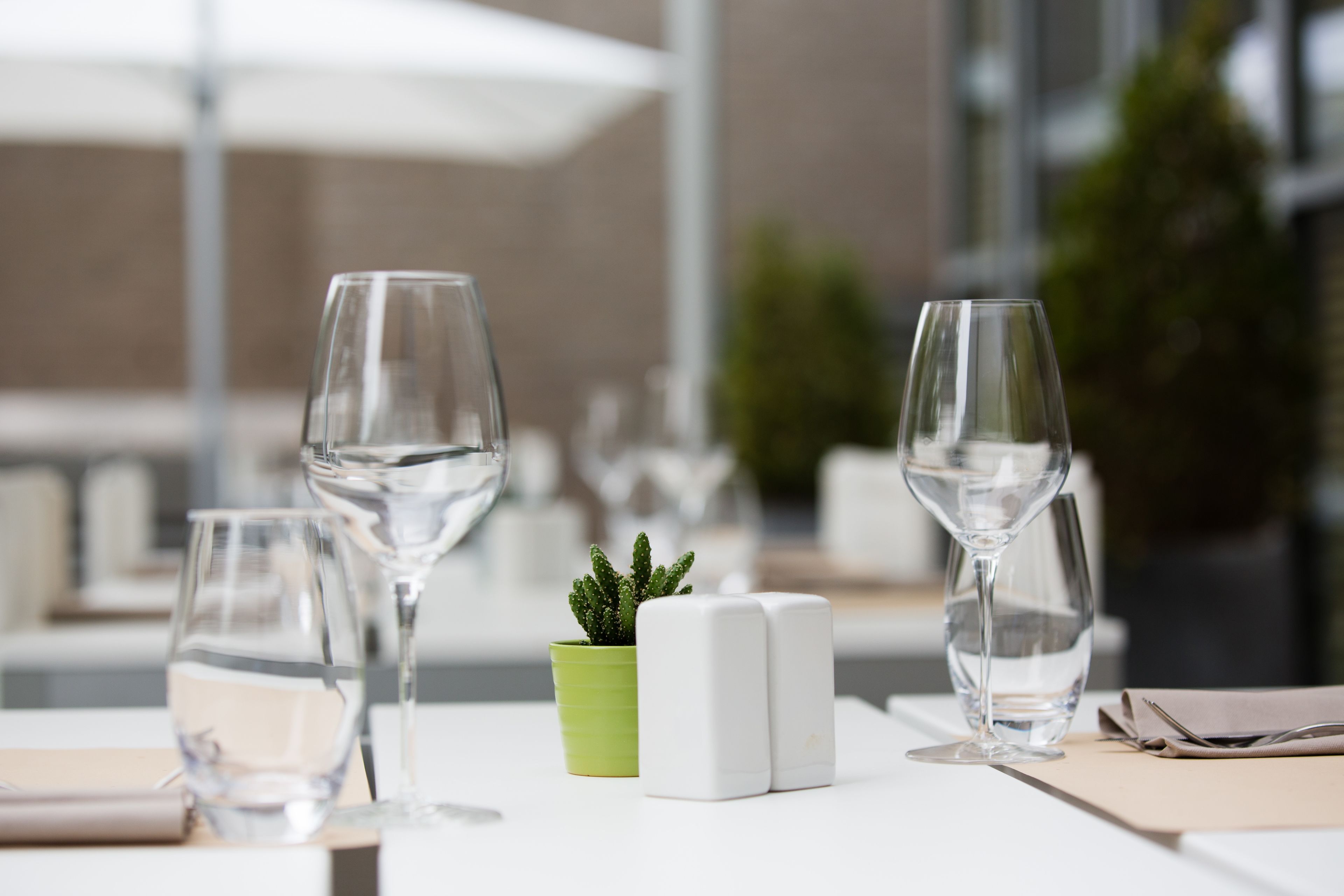 Uma mesa com três copos de vinho, um pequeno vaso de planta, saleiro e pimenteiro, e um guardanapo.