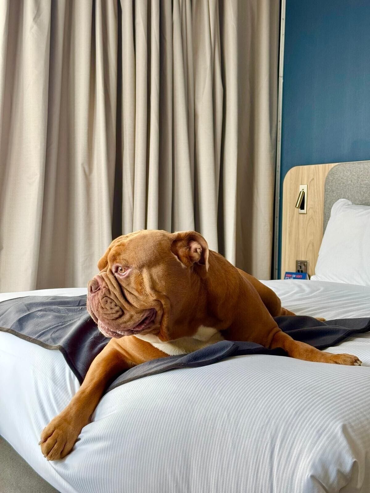 A room with a bed, a wooden headboard, a wall-mounted light switch, and a curtain.