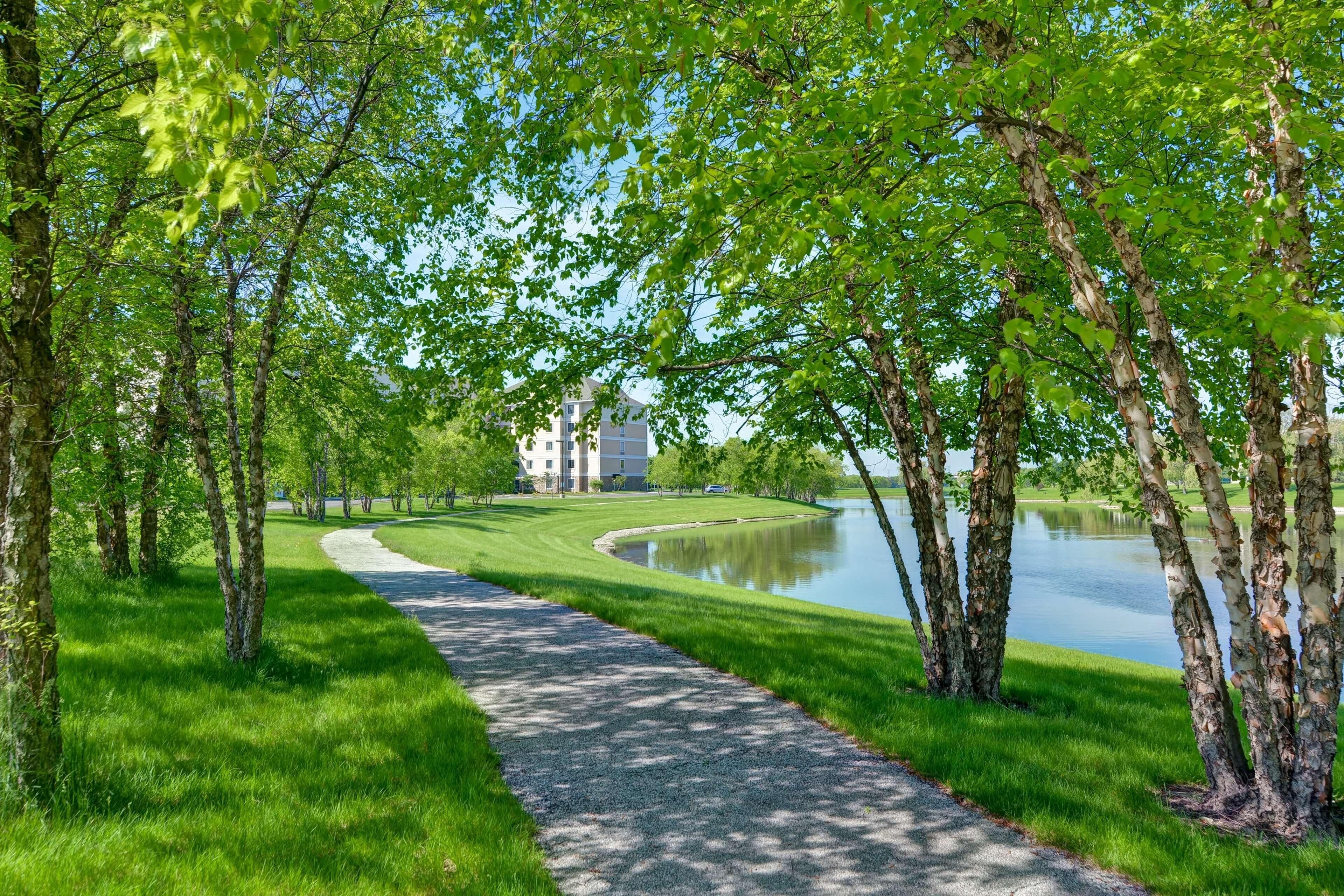 Un sentier pavé mène à un plan d’eau, entouré d’arbres et d’herbe verdoyants.