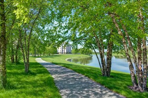 Un sendero pavimentado que conduce a un cuerpo de agua, rodeado de árboles y césped verdes y exuberantes.