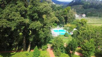 Un paisaje exuberante y verde con una piscina rodeada de árboles y un sendero.