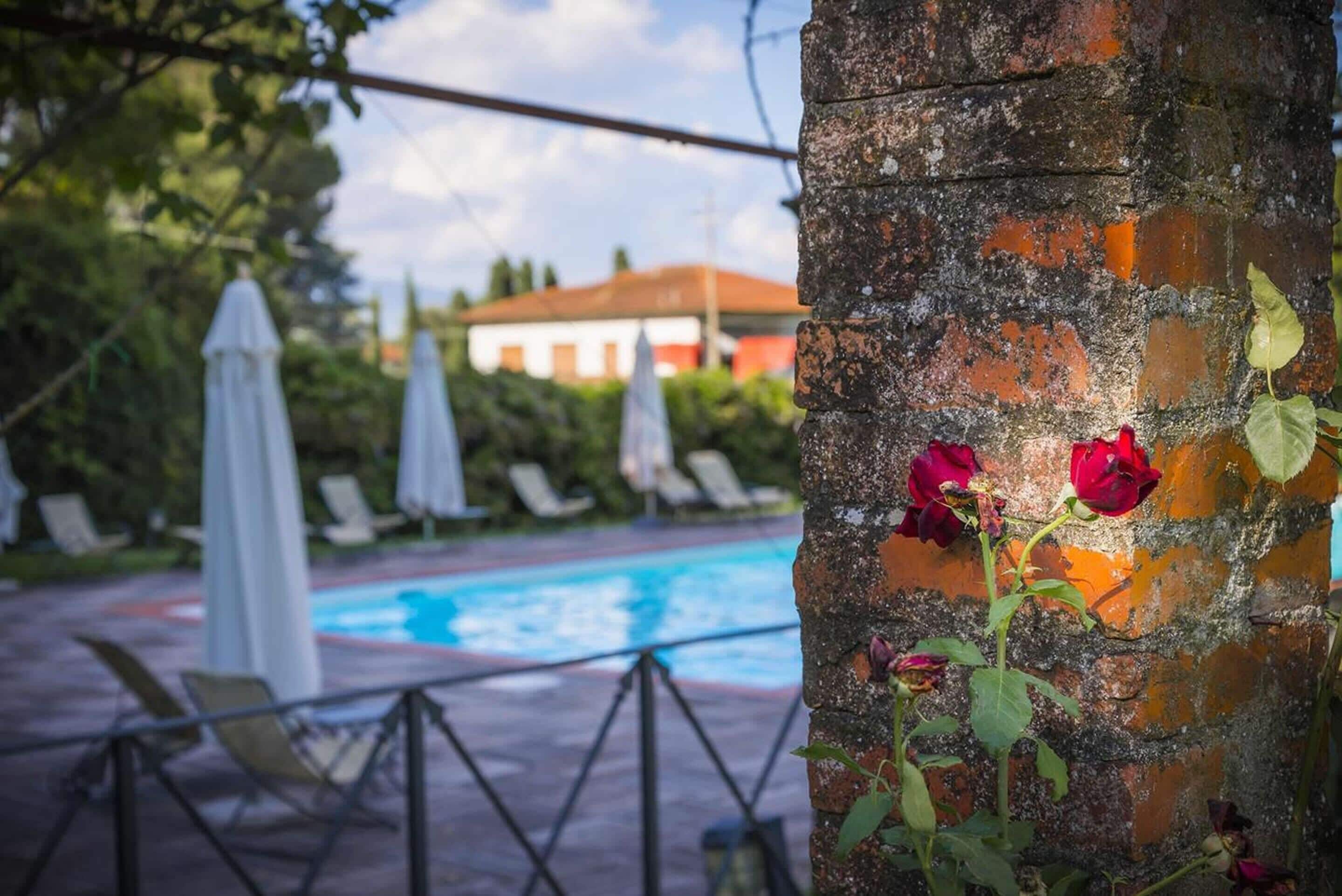 Un área junto a la piscina con un muro de ladrillo, rosales y sillones de descanso.