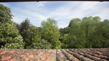 Vista desde una terraza techada con techo de baldosas, con vista a un bosque frondoso.