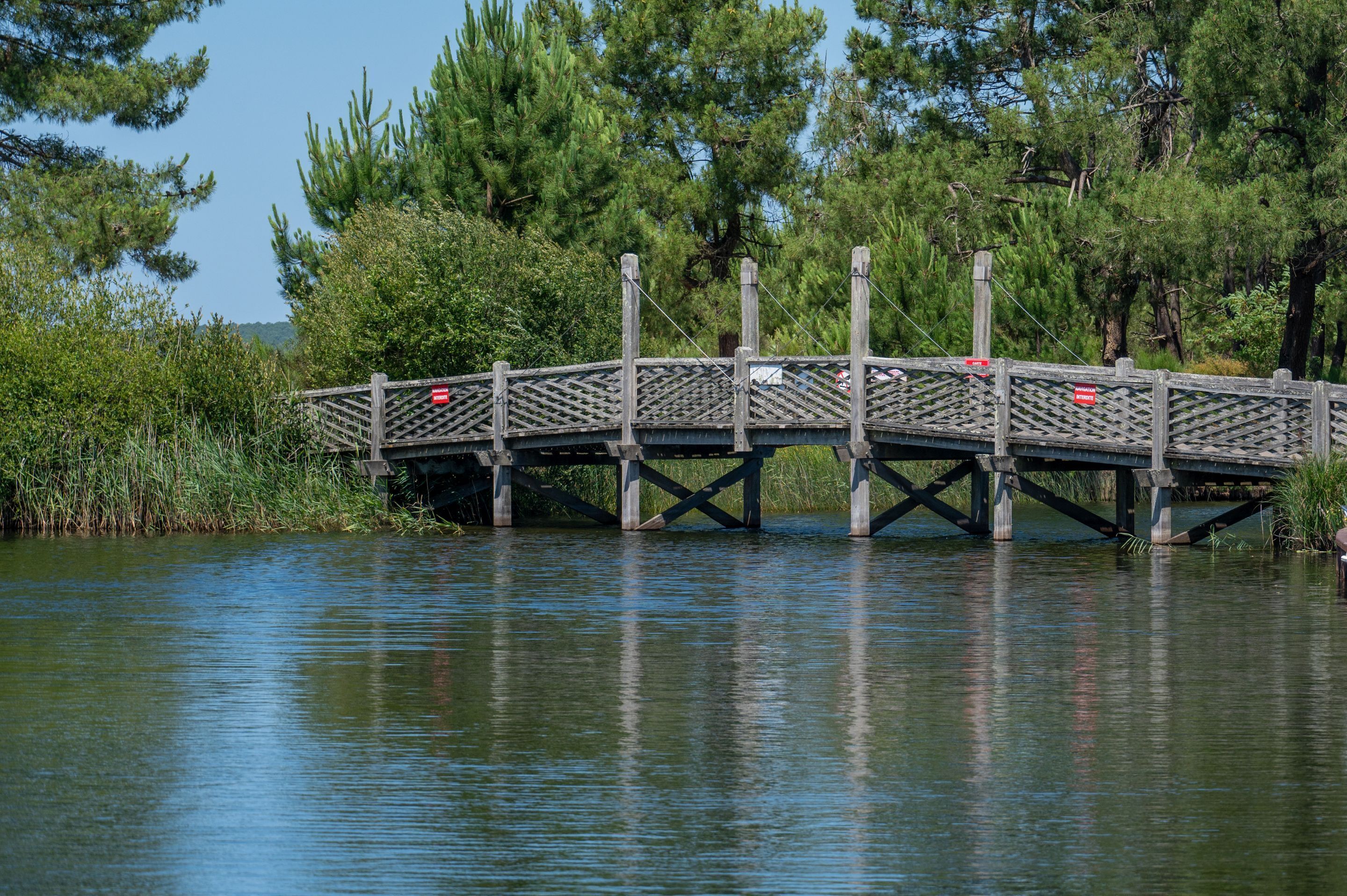 A wooden bridge over a calm body of water, surrounded by dense green trees.
