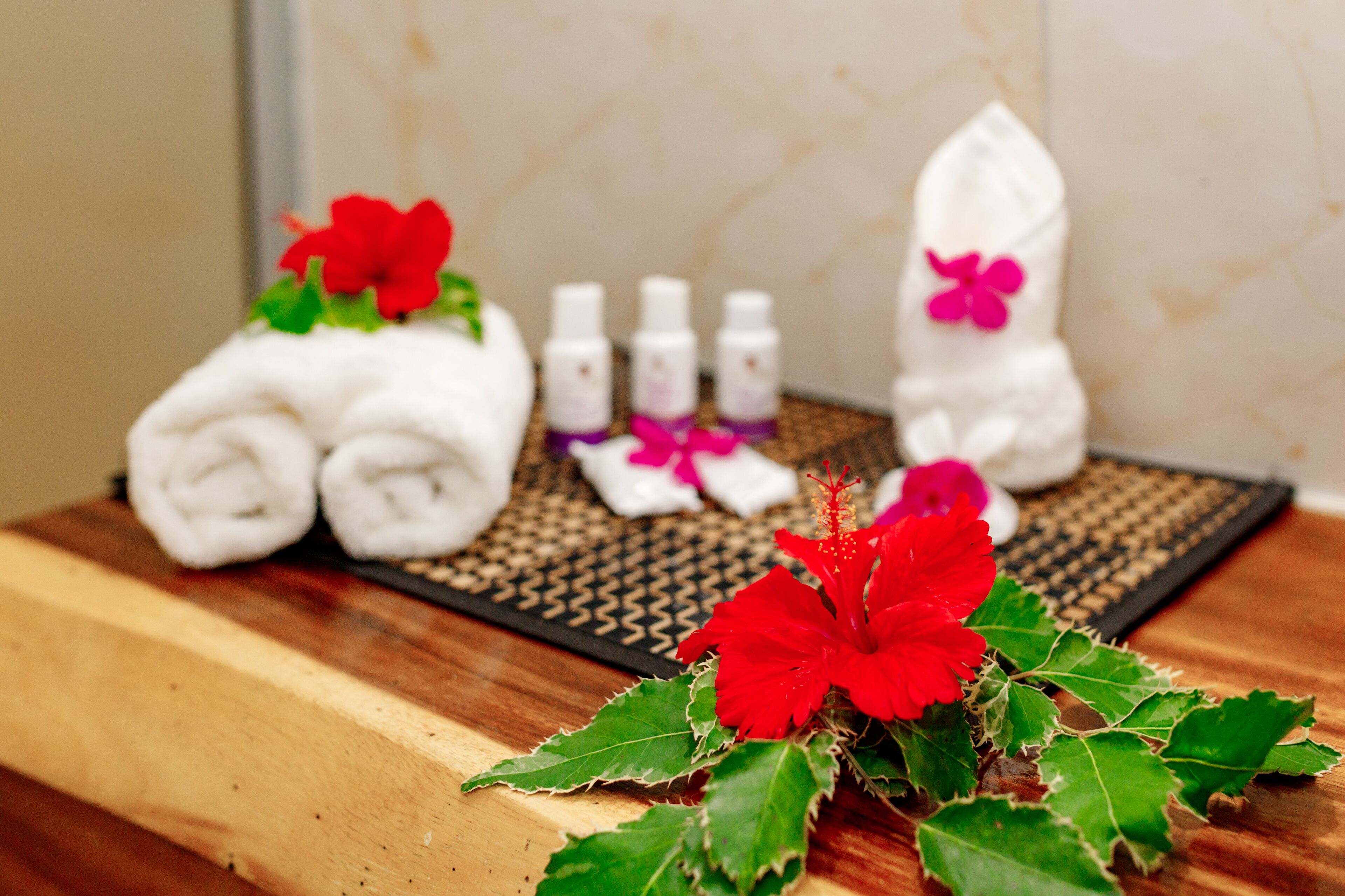 traditional fijian bure | garden view