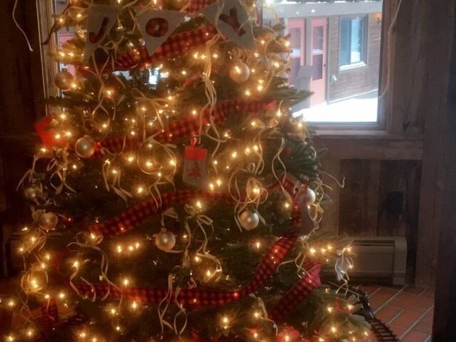 A decorated Christmas tree with lights and ornaments, placed in a room with a brick floor and a window with a view of buildings outside.