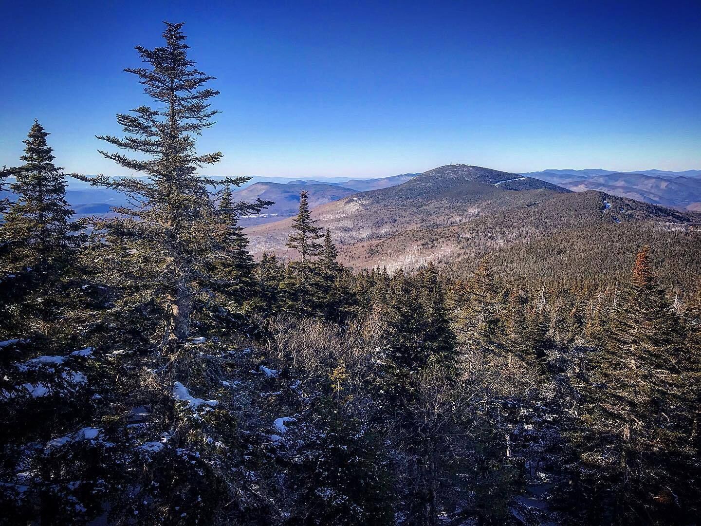 Un paisaje montañoso con bosques densos y árboles cubiertos de nieve.