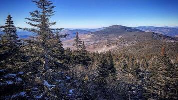 Un paisaje montañoso con bosques densos y árboles cubiertos de nieve.