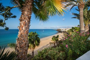 A coastal landscape with a sandy beach, palm trees, and a clear blue sea. - IFA Altamarena by Lopesan Hotels - All Inclusive (Pajara)