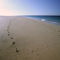 Di pantai, pasir putih, kerusi lepak pantai, payung