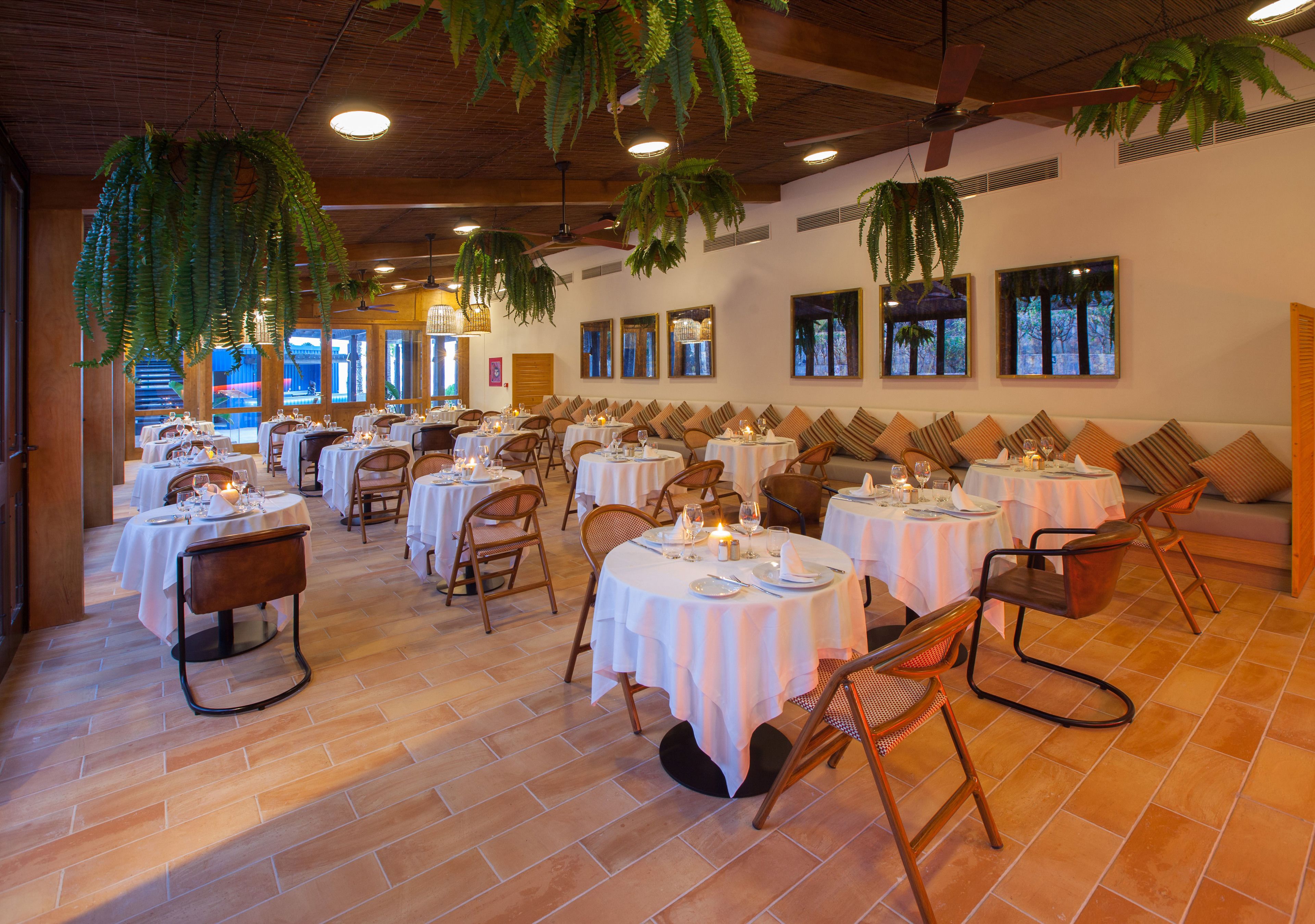 A restaurant with round tables and chairs, white tablecloths, and hanging plants.