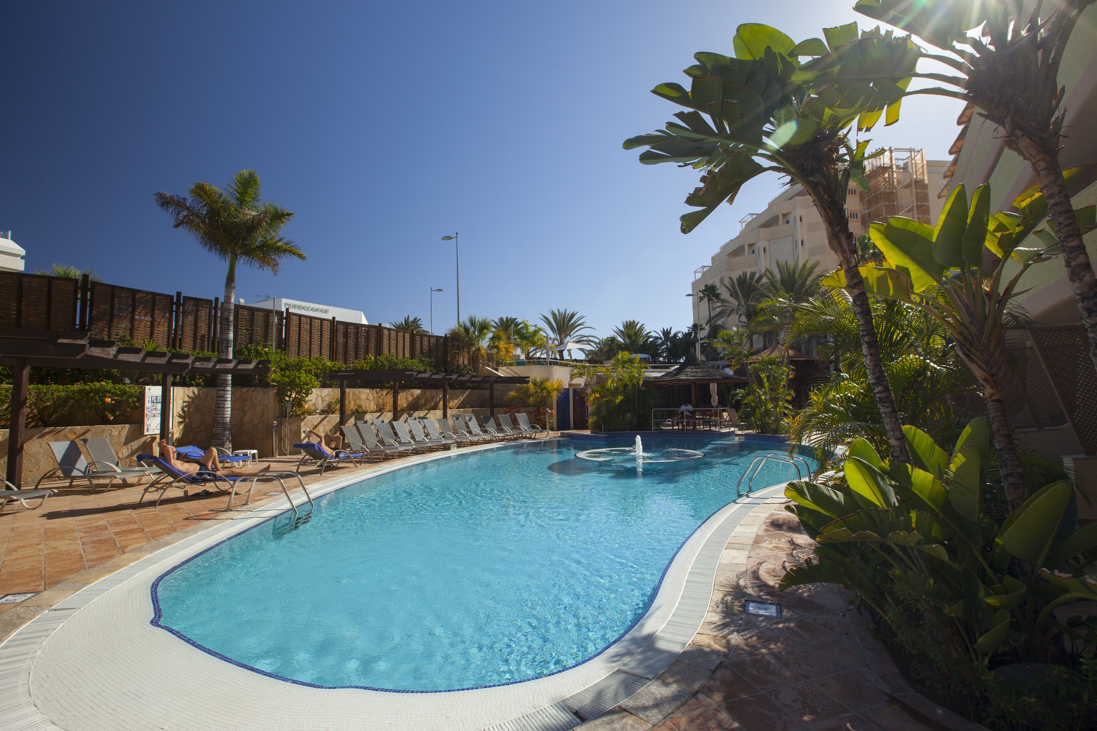 A swimming pool with lounge chairs and palm trees.