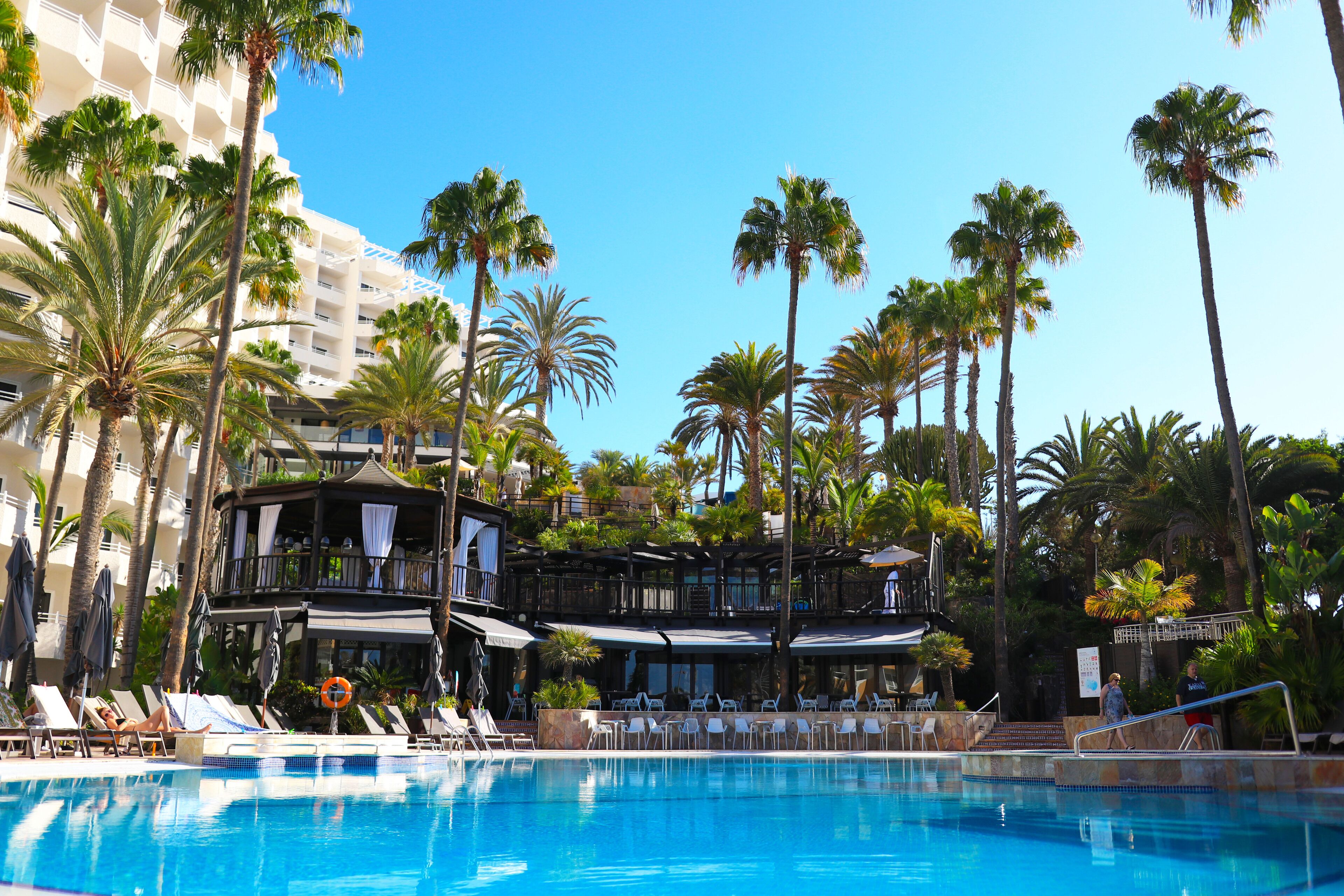 A hotel pool area with lounge chairs, palm trees, and a multi-story building with balconies.