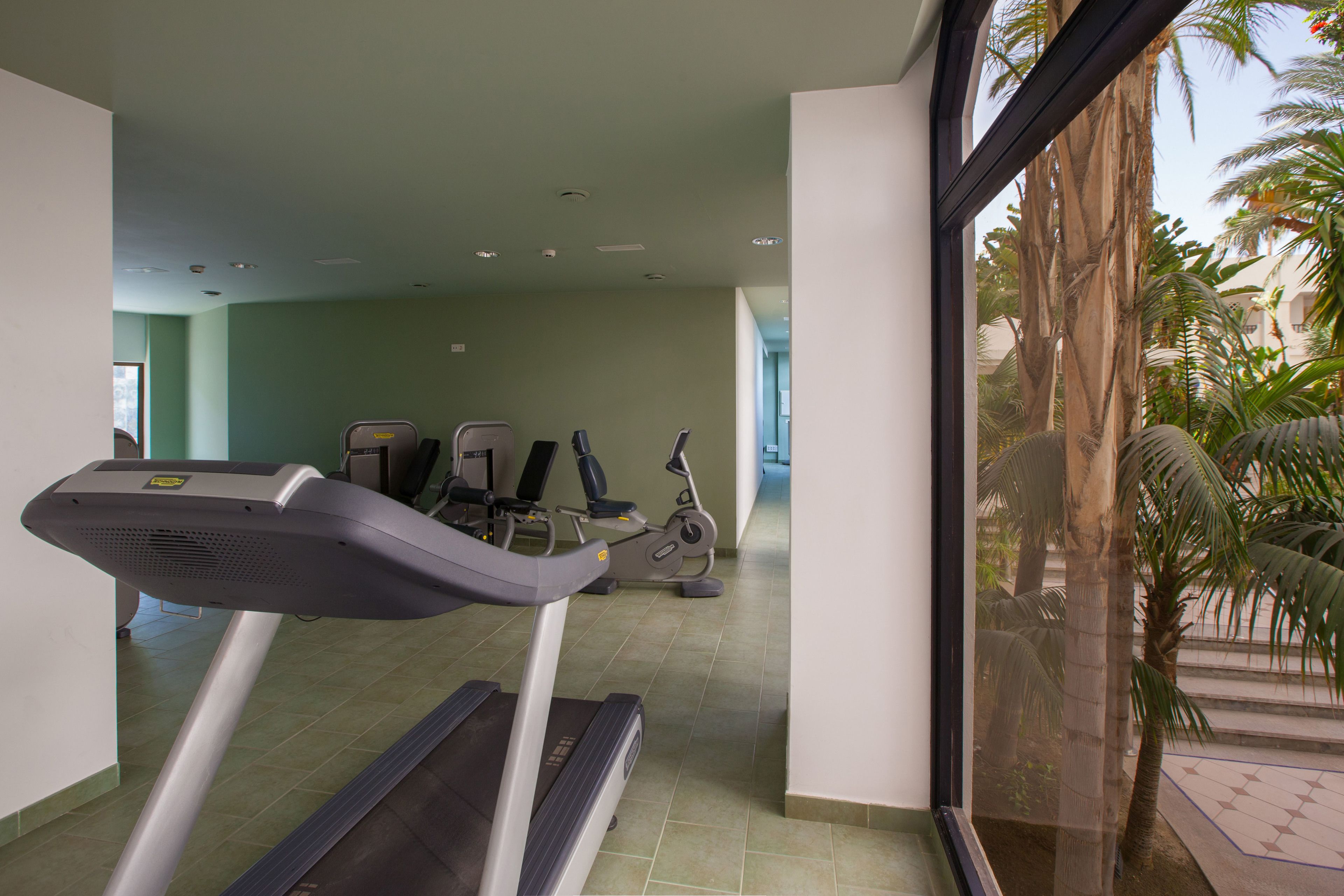 Una palestra con tapis roulant e cyclette, una grande finestra vista palme.