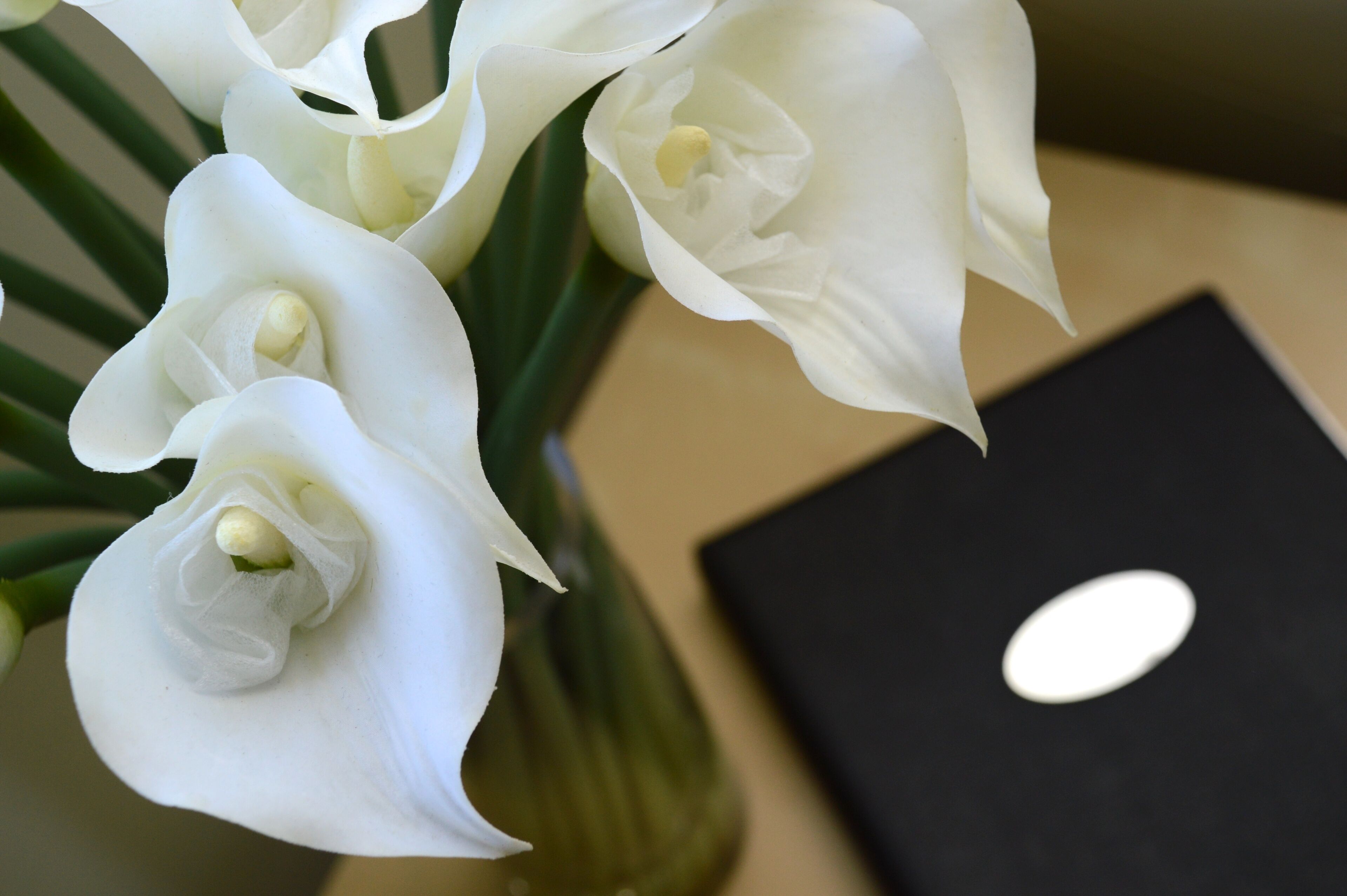 Birches Serviced Apartments — image 20