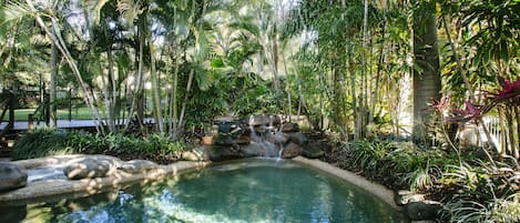 Outdoor pool, sun loungers