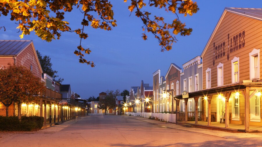 Disney Hotel Cheyenne