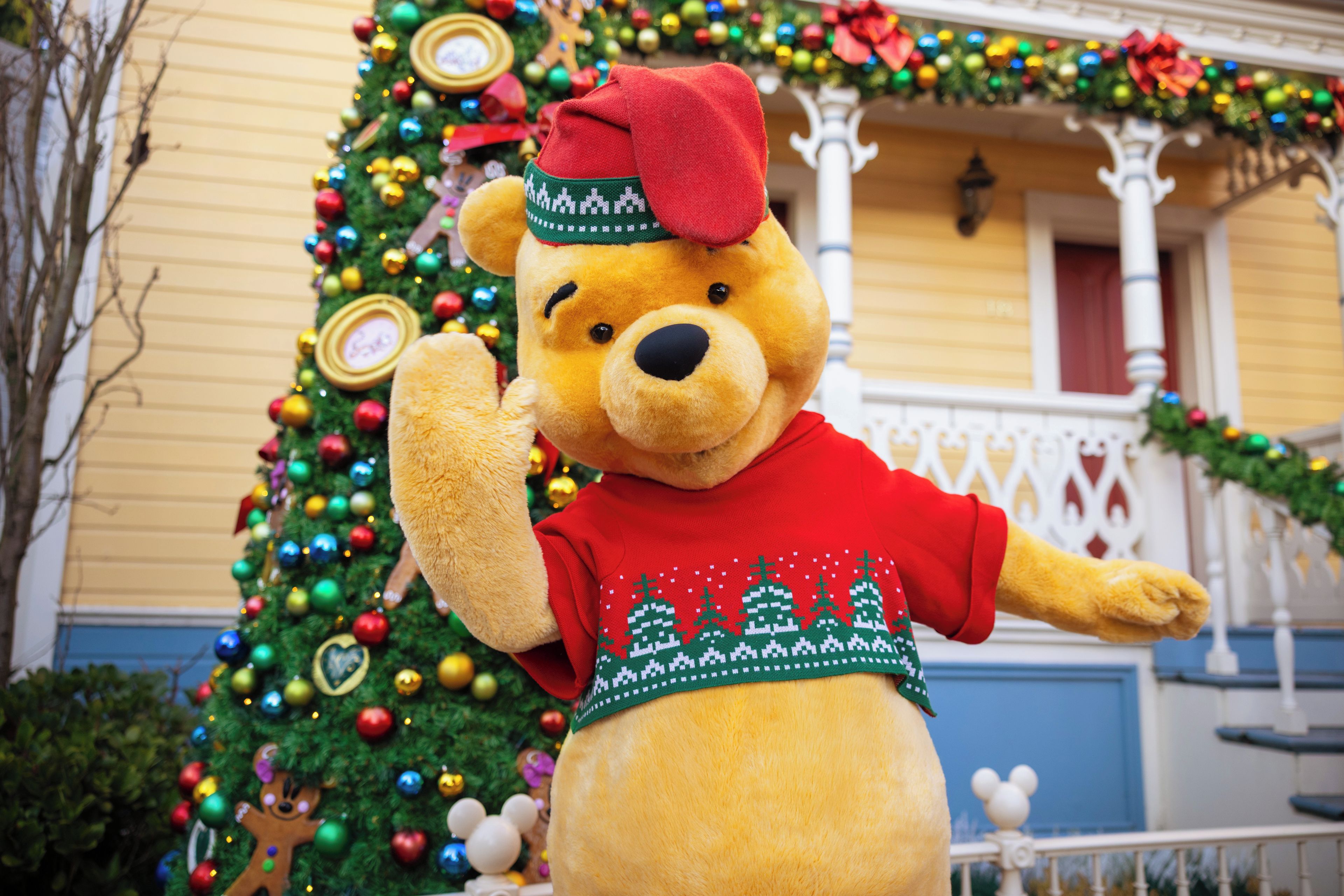 Een groot teddybeer voor een versierde kerstboom.