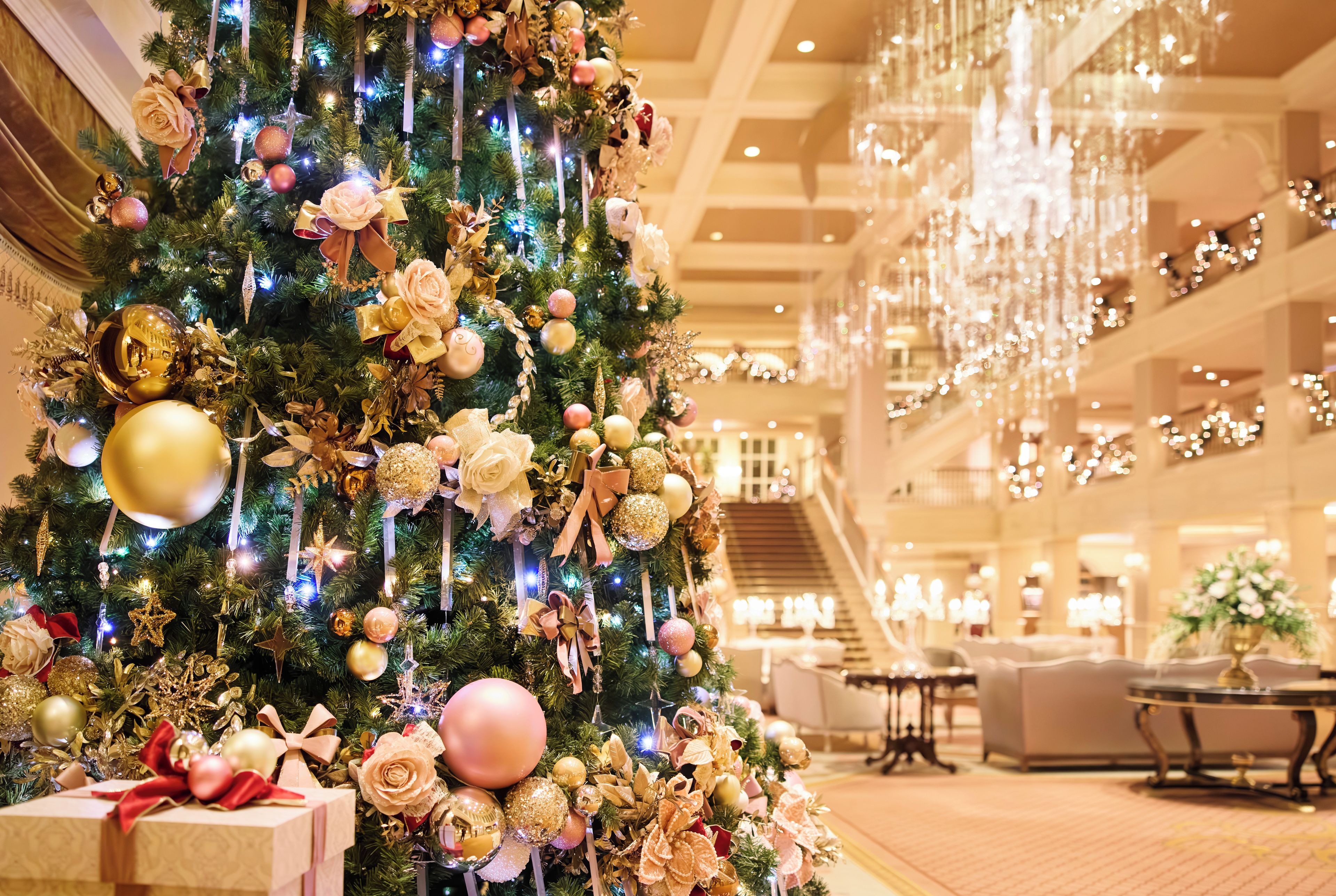 Foto - Disneyland Hotel