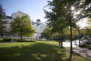 Garden - Disney Newport Bay Club (Coupvray)