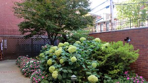 Un jardín con un muro de ladrillo, una cerca de metal y diversas plantas con flores.