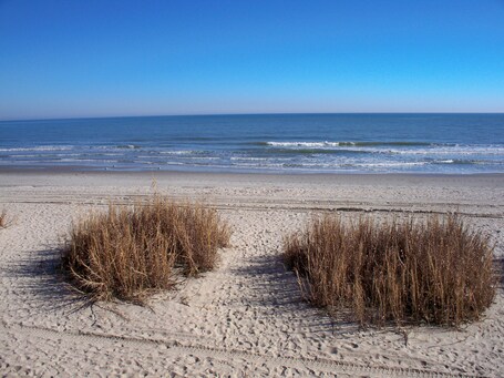Grand Atlantic Ocean Resort - Image 15