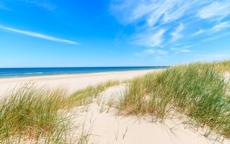 A sandy beach with green grass in the foreground and a clear blue sky.