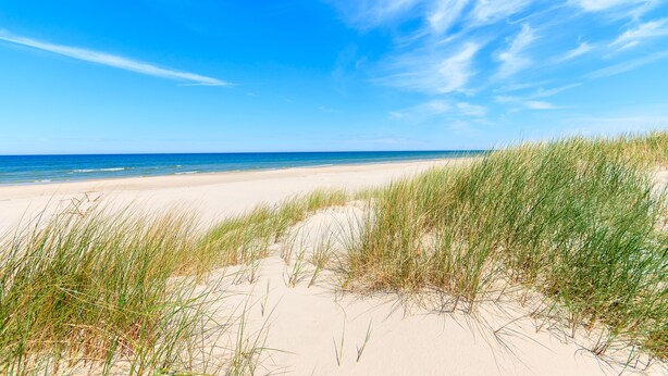 Une plage de sable avec de l’herbe verte au premier plan et un ciel bleu dégagé.